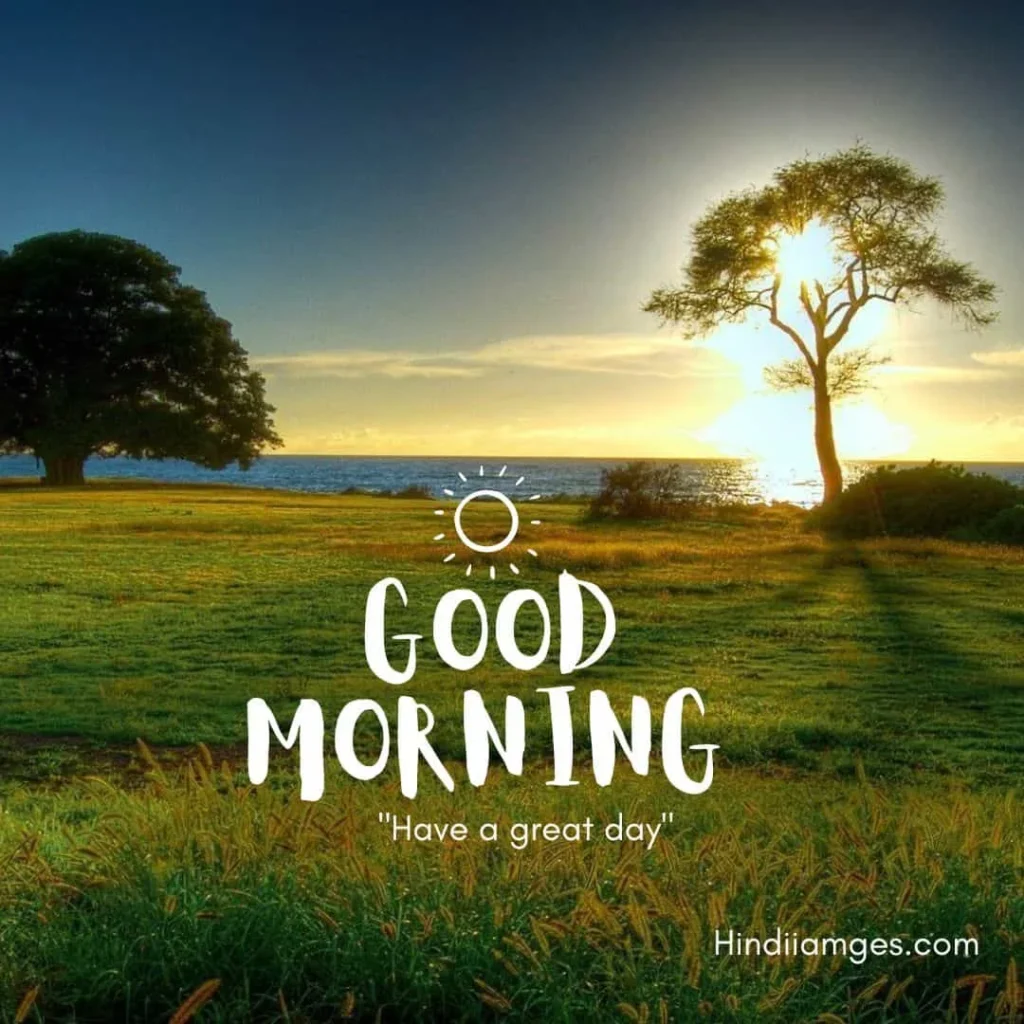 Good Morning Images HD  750 Beautiful Gud Morning Pics Photos Updated  Sep 2022