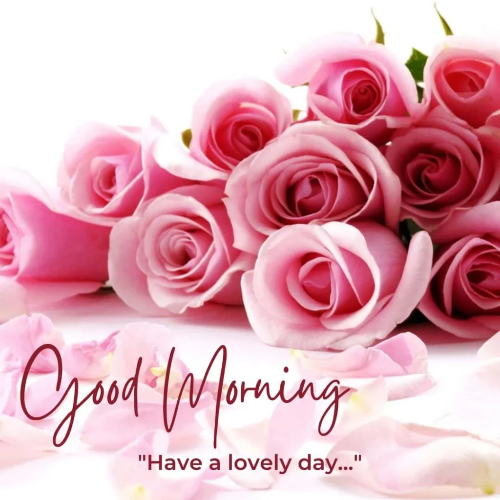 100+ Beautiful Good Morning Rose image 2022